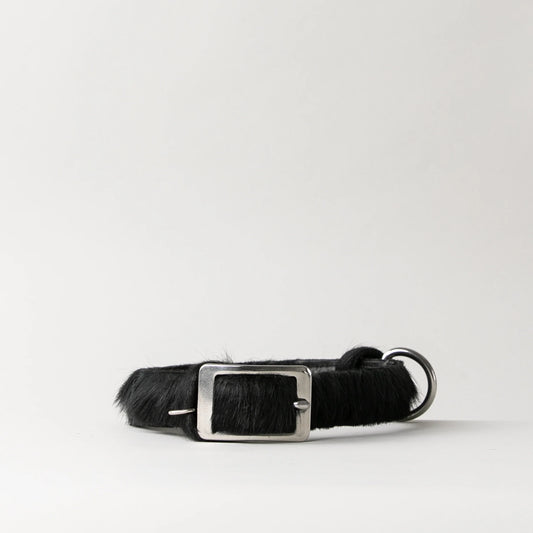 CLUB DOG COLLAR BY Bago