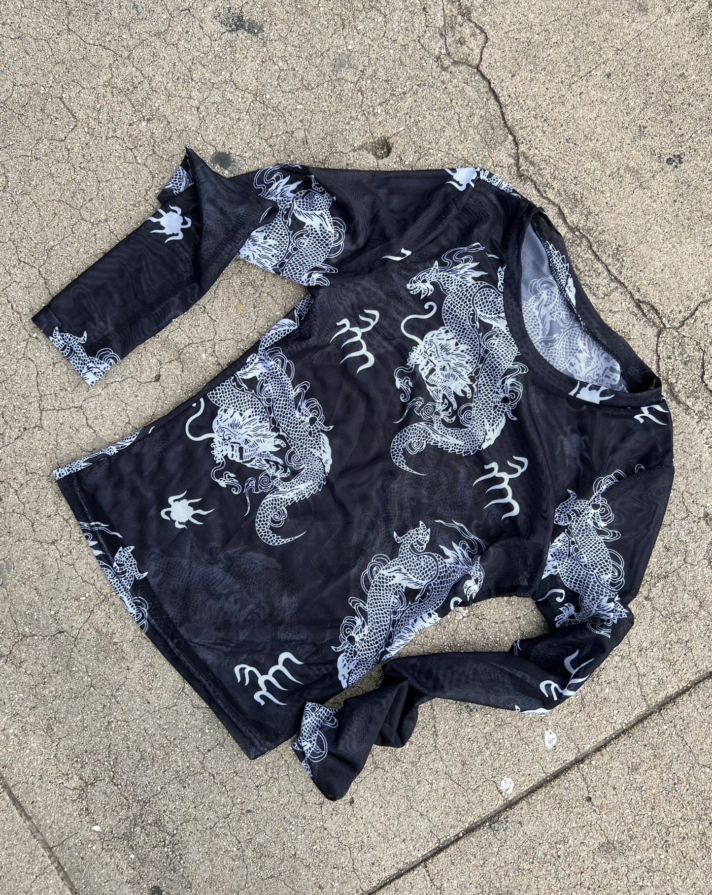 Dragon Mesh Long Sleeve Top