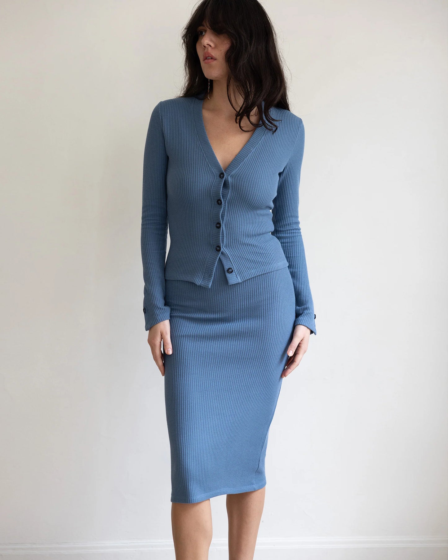Pari Desai- Worley Ribbed Knit Skirt in Brune & Blue