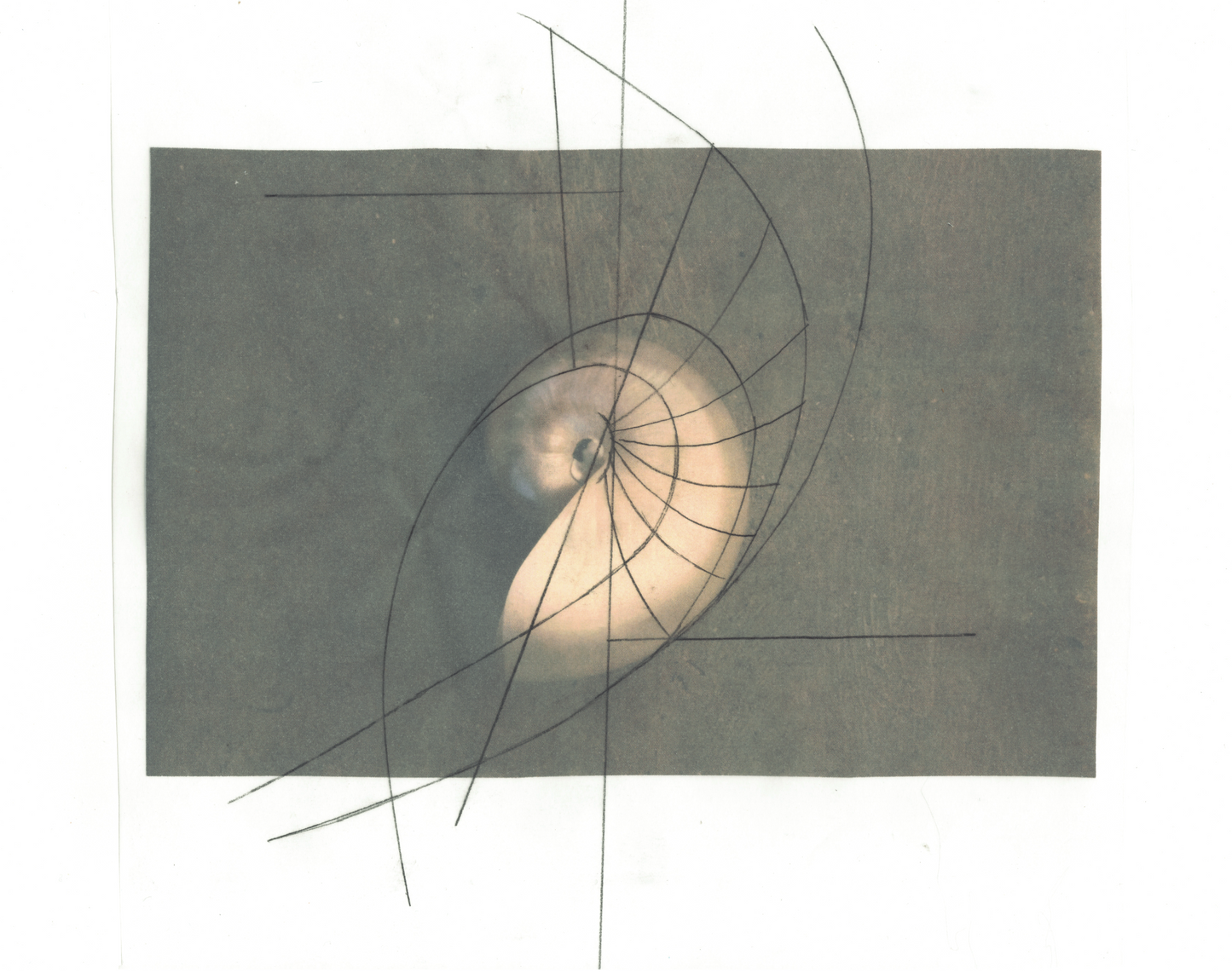 HARMONY TOP (in sand)- Remnants