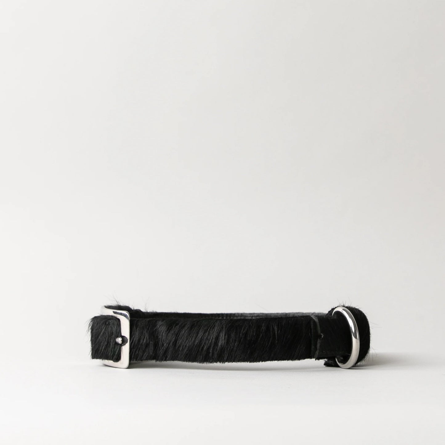 CLUB DOG COLLAR BY Bago