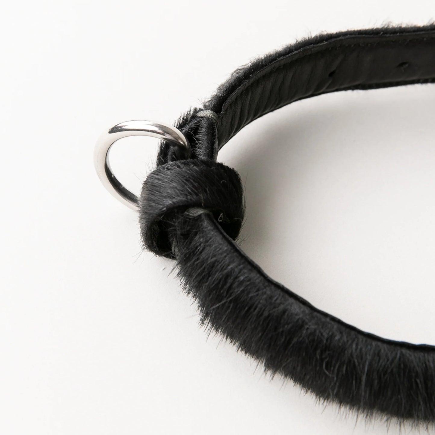 CLUB DOG COLLAR BY Bago