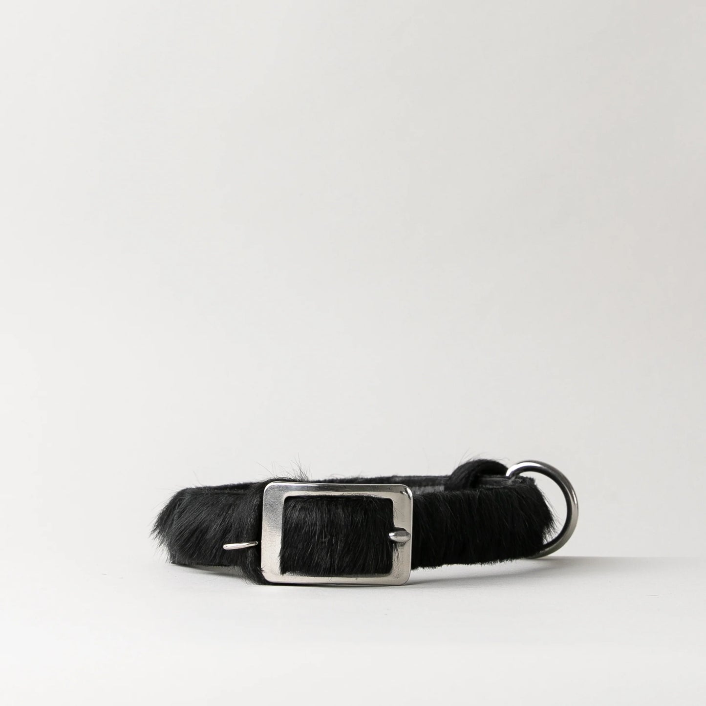 CLUB DOG COLLAR BY Bago