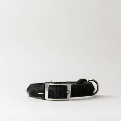 CLUB DOG COLLAR BY Bago